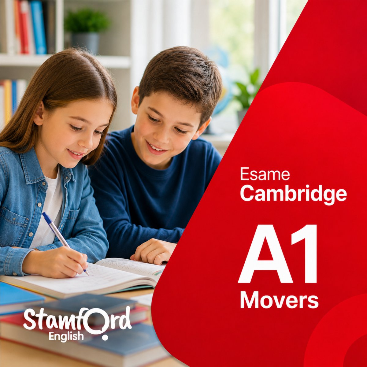 A1 Movers